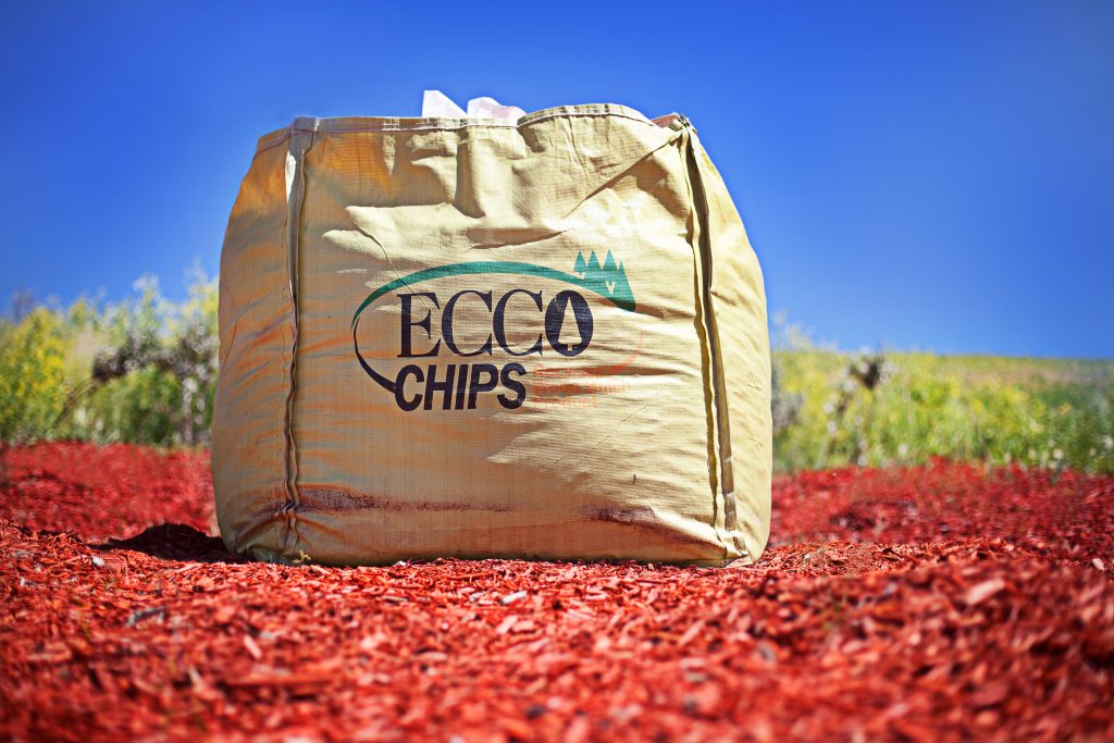 Bag of ECCO Chips