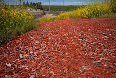 Red ECCO Chips on Landscaping